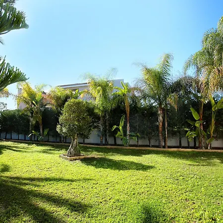 The White House * לרנקה