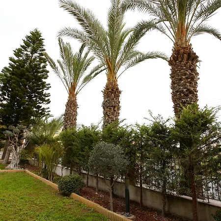 The White House Villa *