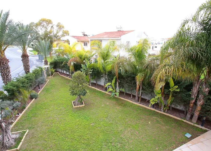 The White House * Larnaca